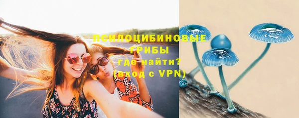 метадон Вяземский