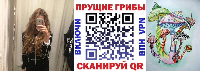 сайты даркнета как зайти  Железногорск  Галлюциногенные грибы Psilocybine cubensis 